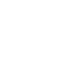 Asset 31