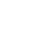 Asset 363